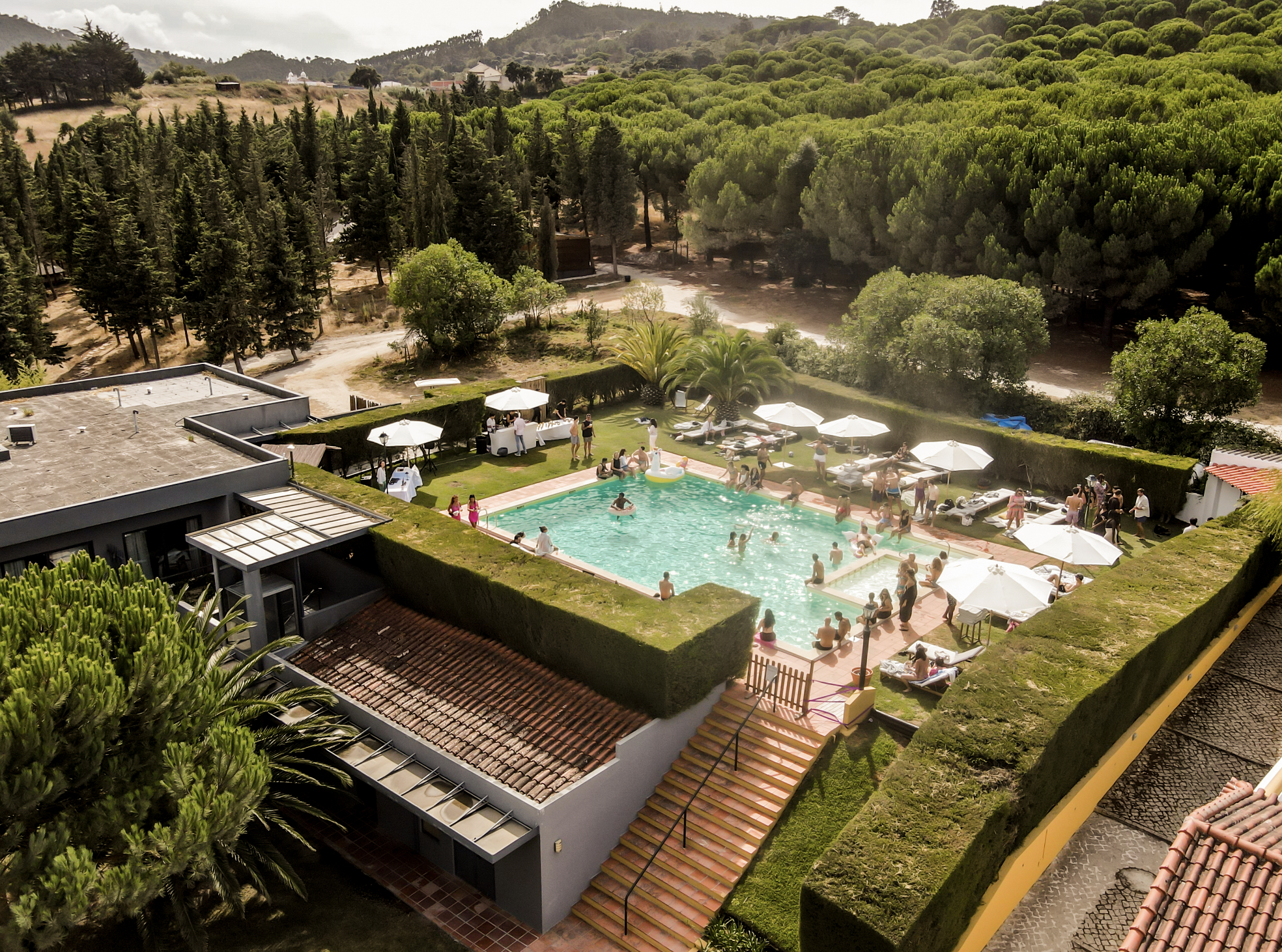 pool with forest